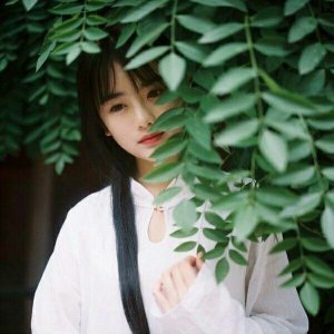總裁老公寵入骨南笙最新，小巷風(fēng)情小店中的甜蜜寵溺故事