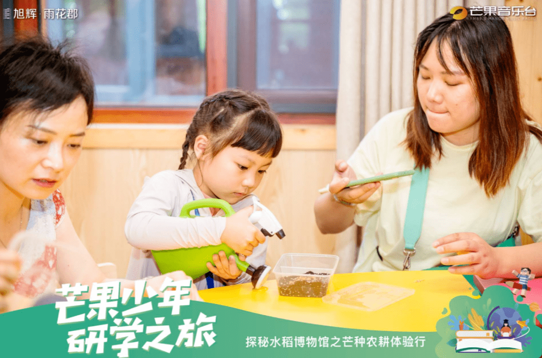 鳳凰天仙城，變化中的學(xué)習(xí)之旅，成就感的源泉最新消息揭秘
