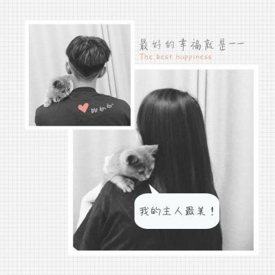 情侶微信昵稱最新版，甜蜜瞬間，愛意永流傳