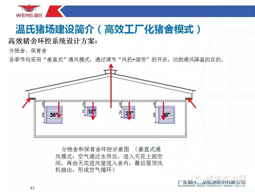 溫氏豬舍新篇章，最新建設(shè)圖紙與溫馨故事揭秘
