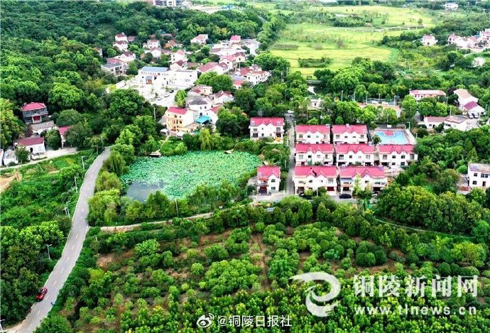 堰下張村最新動態(tài)，鄉(xiāng)村振興邁入新篇章
