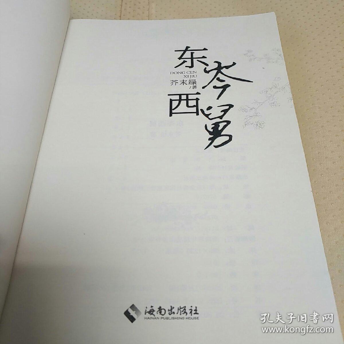 探秘精彩劇情，東岑西舅最新章節(jié)全解析