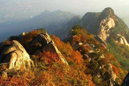 橫山鳳凰新城最新動態(tài)更新，最新消息匯總