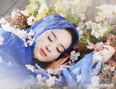 神雕銷魂錄最新章節(jié)觀點論述解析