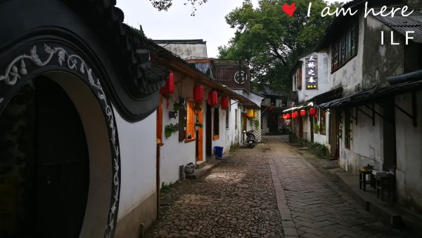 陳加民最新動(dòng)態(tài)，小巷深處的獨(dú)特風(fēng)味探秘揭秘