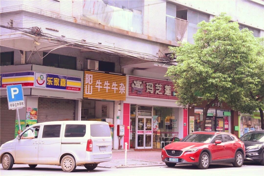 英德市金鑫城最新動態(tài)揭秘，小巷深處的特色小店探秘之旅