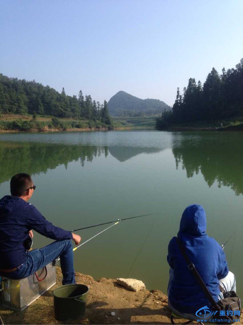 湖山水庫釣魚最新魚情，科技垂釣的新體驗(yàn)