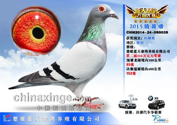 天立公棚最新公告2017,天立公棚最新公告2017，觀點(diǎn)闡述與分析