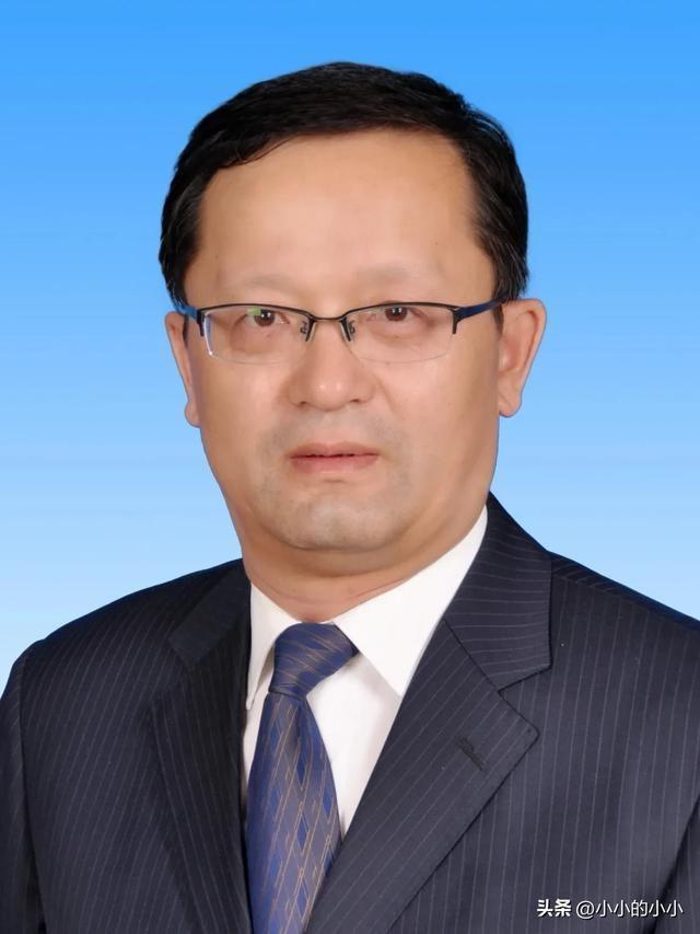 新疆霍城最新干部任免，多維度視角下的深度探討